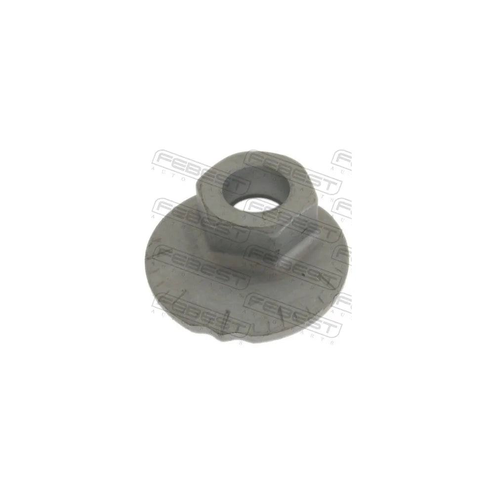 Piulite Febest - 0131-004