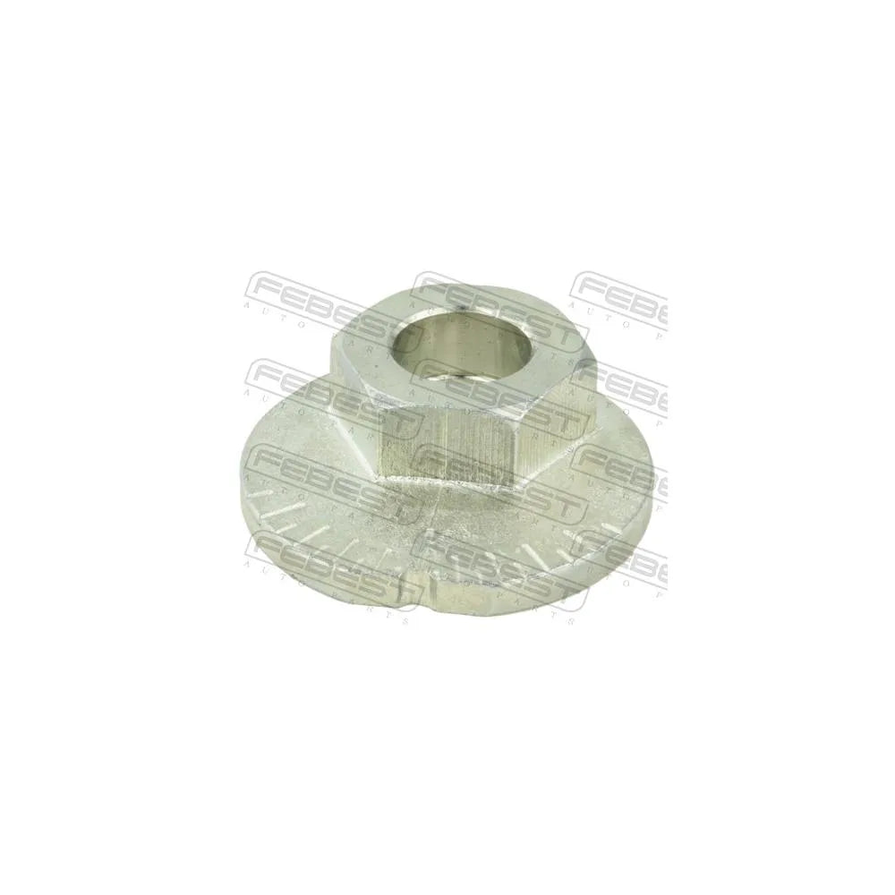 Piulite Febest - 0131-009