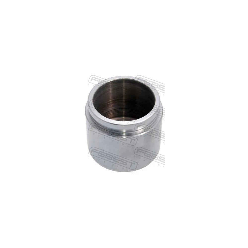 Pistonas Frana Febest - 0176-AE190F