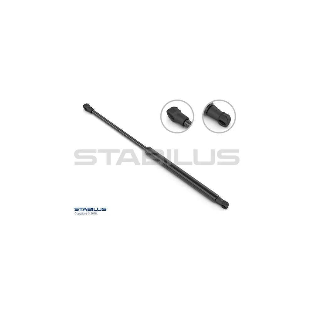 Haion Stabilus - 022620
