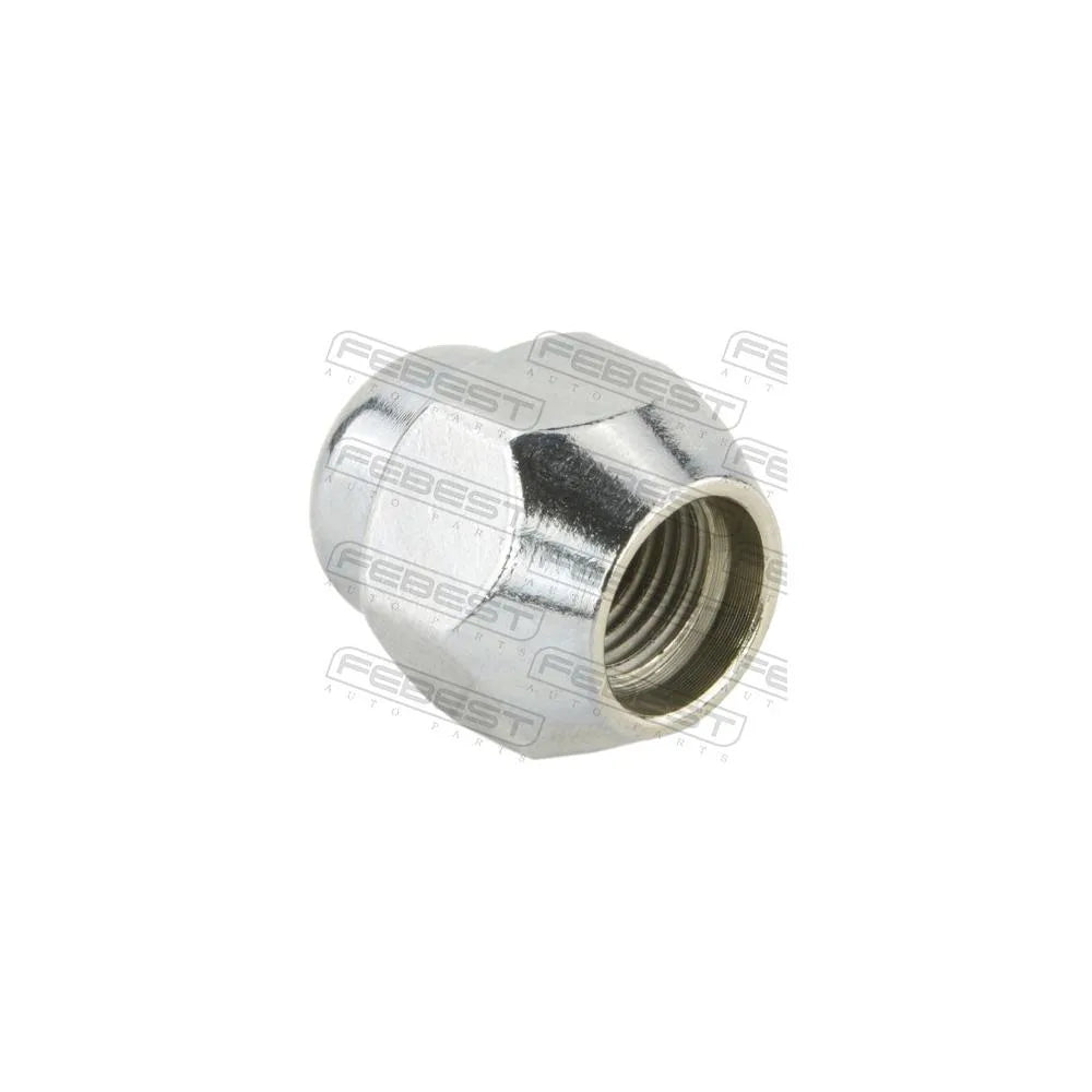 Piulite Febest - 0285-001