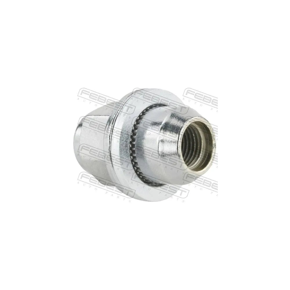 Piulite Febest - 0285-003