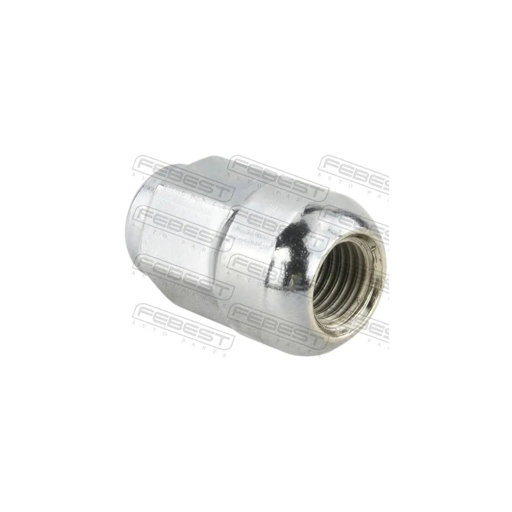 Piulite Febest - 0385-003