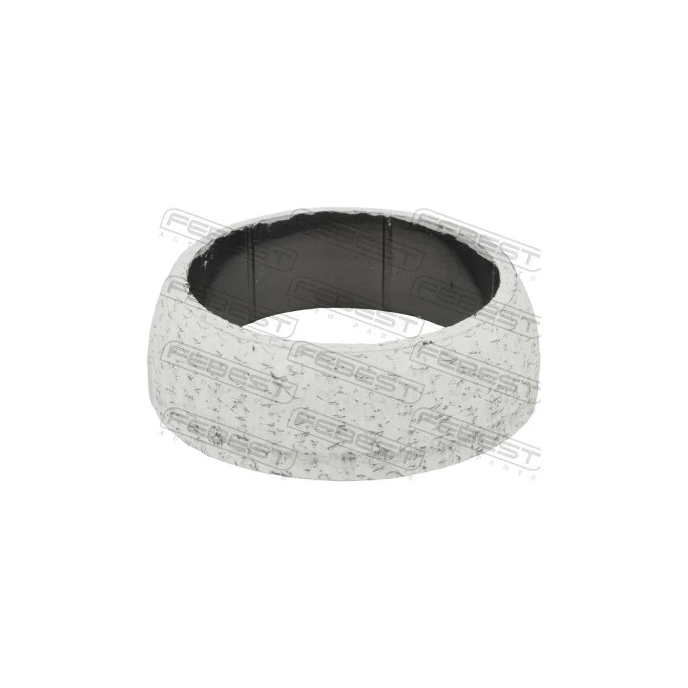 Garnitura Evacuare Febest - 04491-001