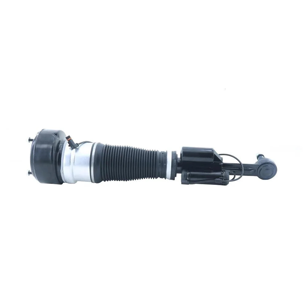 Burghie Asam Automotive - 05580