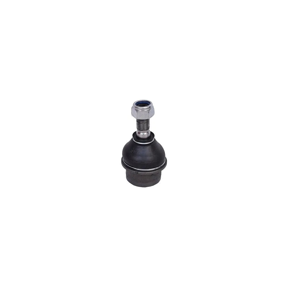 Pivot Asam Automotive pentru Iveco Daily - 05916