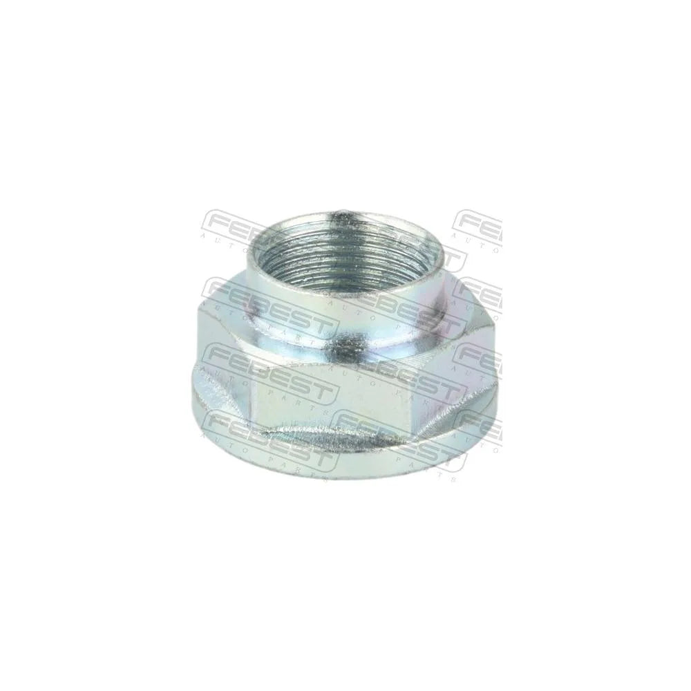 Piulite Febest - 0598-NHUB01