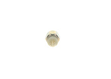 Lumini De Zi Bosch 0.05 kg - 0 986 345 110