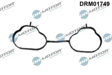 Garnitura, galerie admisie Dr.Motor Automotive pentru Subaru - DRM01749