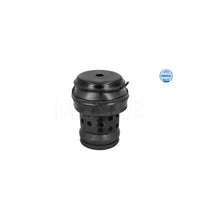 Suport Motor Meyle - 1001990036