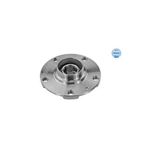 Butuc Roata Meyle - 1006500012
