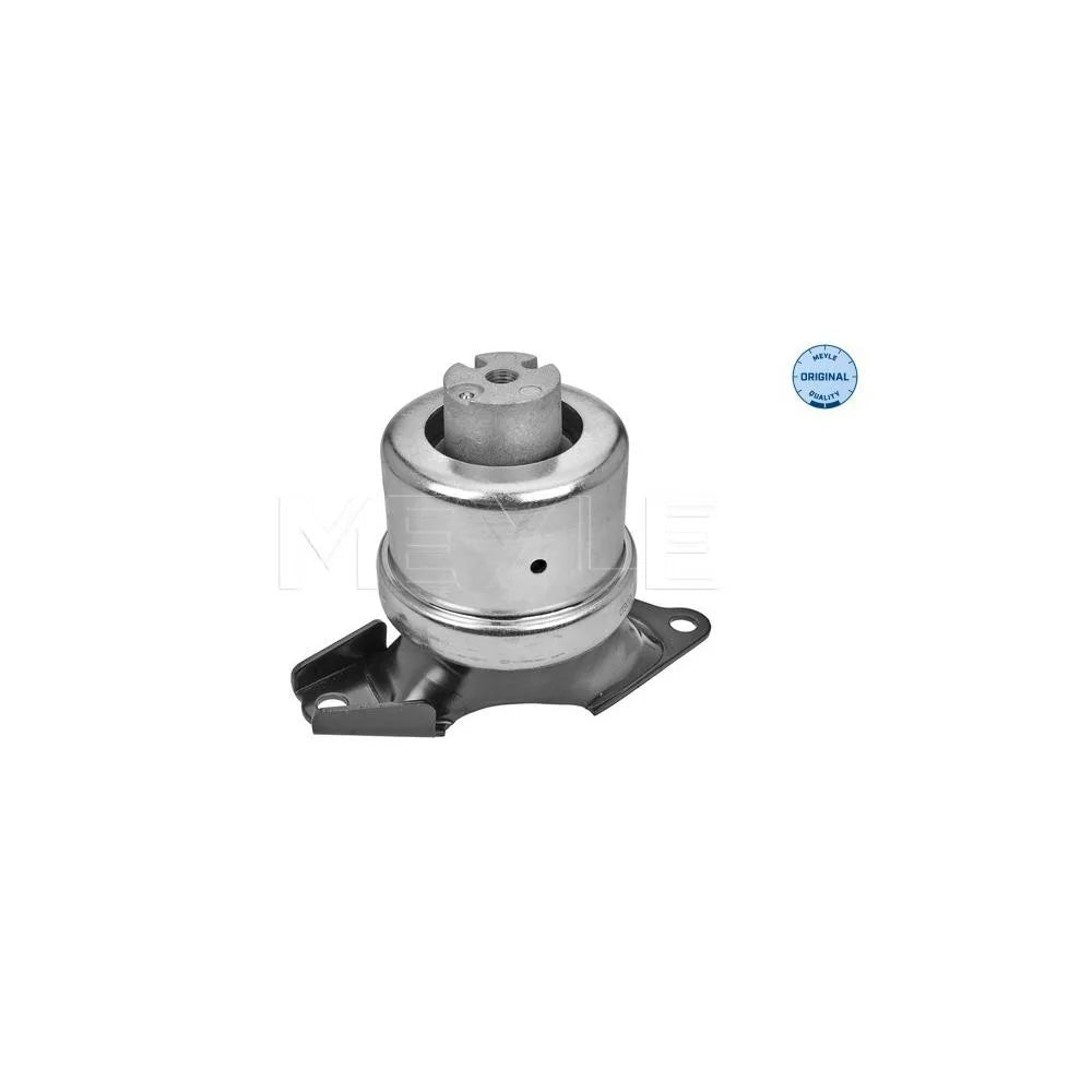 Suporti Motor Meyle - 100 199 0223