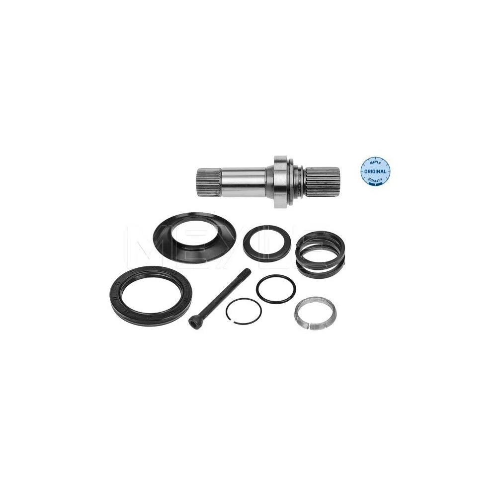 Arbore, Diferential Meyle - 100 498 0248