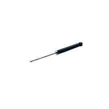Amortizoare Asam Automotive pentru Renault Clio - 102483