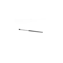 Amortizoare Asam Automotive pentru Dacia Lodgy, Renault Lodgy - 105582