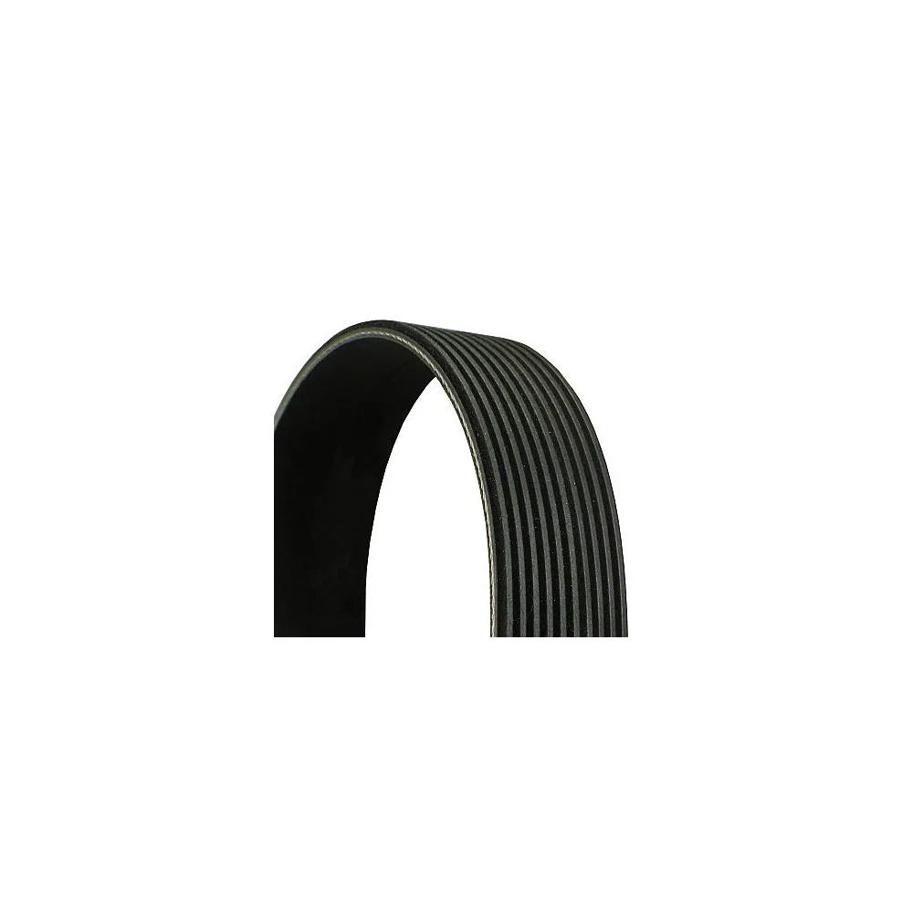 Set Curea Transmisie Continental Ctam - 10PK1545