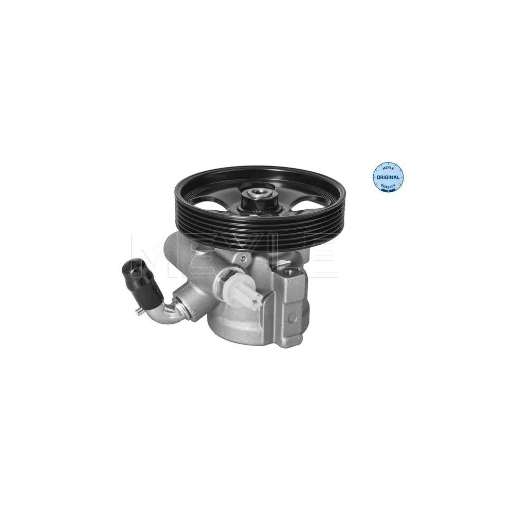 Pompa Hidraulica, Sistem De Directie Meyle - 11-146310016