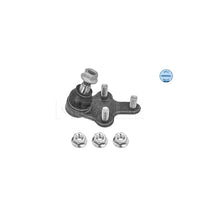 Articulatie Sarcina/Ghidare Meyle - 11-16 010 0026