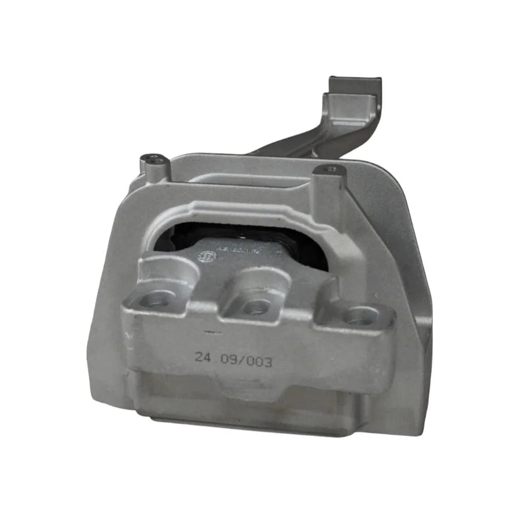 Suporti Motor ASAM Automotive - 116204