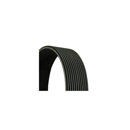 Set Curea Transmisie Continental Ctam - 11PK2871