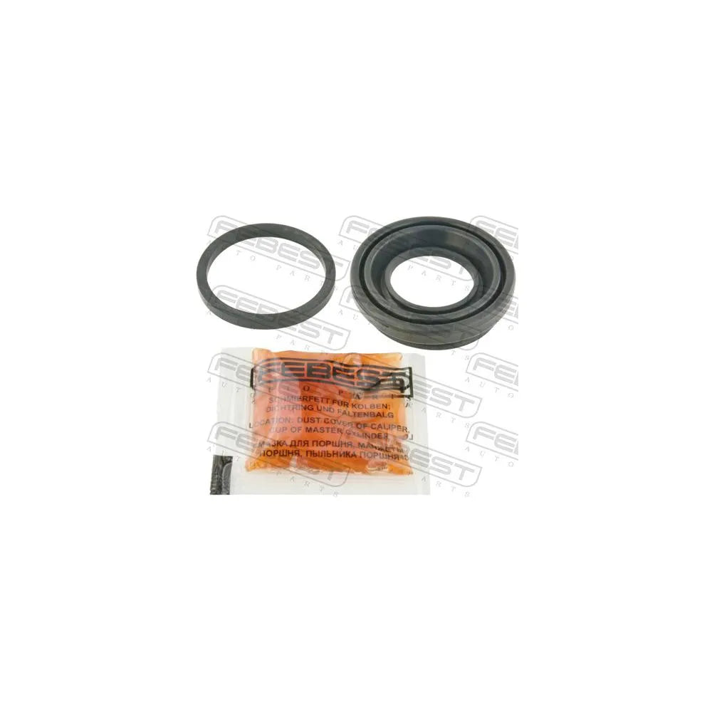 Set Garnituri Febest - 1275-LFR