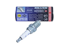 Bujii BRI - 1334LPG