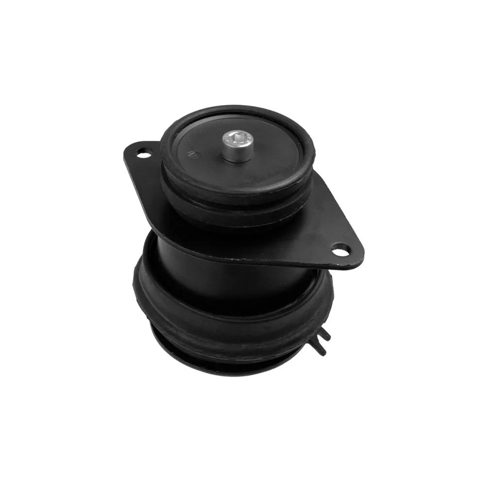 Set Motor Lemforder - 1435501