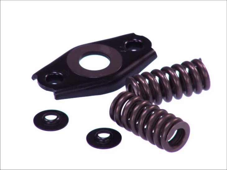Set Garnituri BOSCH 0.26 kg - 1 467 010 495