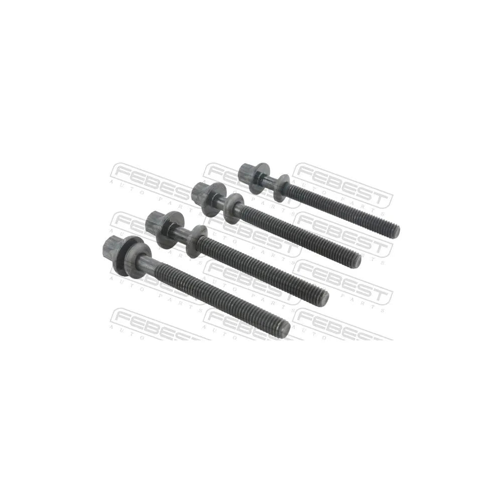 Piulite Febest - 1498-001-PCS4