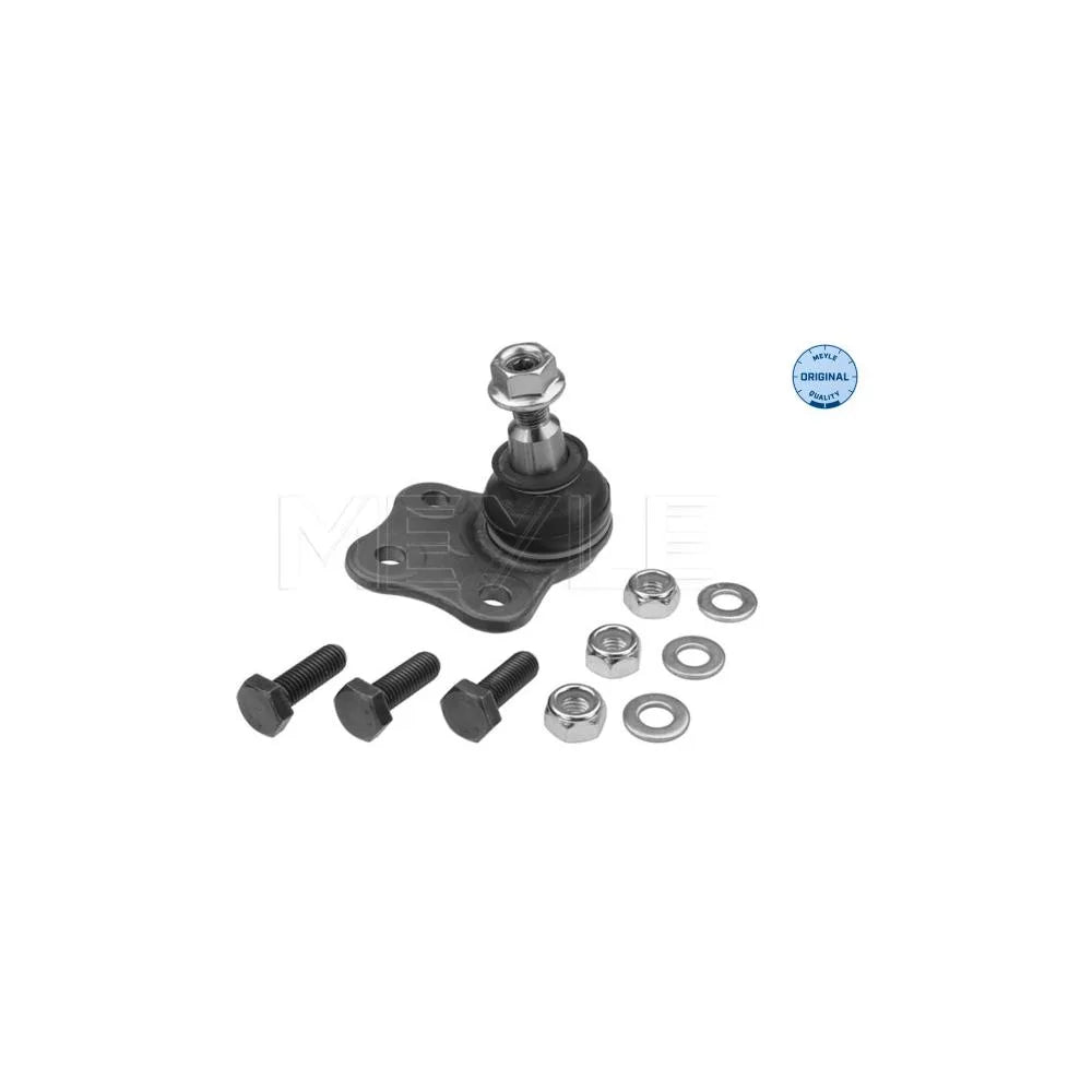 Articulatie Sarcina/Ghidare Meyle - 16-16 010 0014
