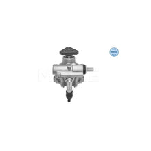 Pompa Hidraulica, Sistem De Directie Meyle pentru Volkswagen Passat/Santana - 16-166310001