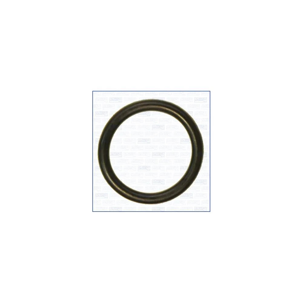 Garnitura Termostatu Vw Golf 2.0Tfsi 05- AJU - AJU16098400