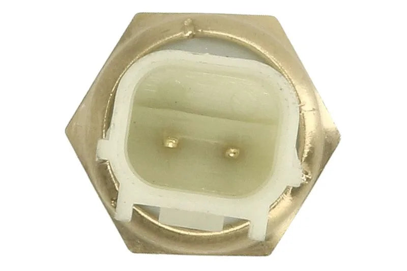 Senzori Auto Magneti Marelli 0.02 kg - 171916011520