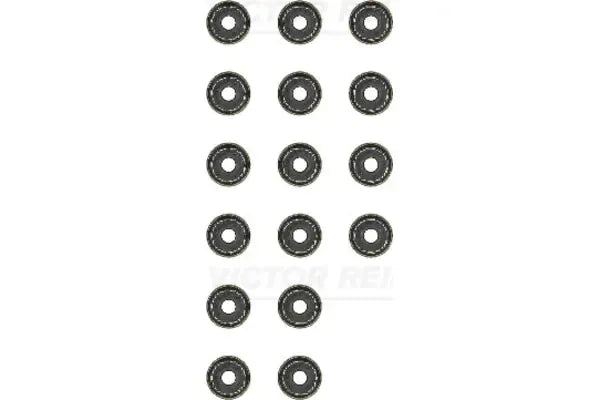 Set garnituri ax supape, Opel, Chevrolet, Mitsubishi, Saab, Smart, Suzuki, Buick Corsa D, Astra G Hatchback, 109x84x20 mm, Victor Reinz 123422302