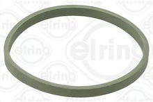 Garnitura, carcasa galerie admisie Elring - EL981230
