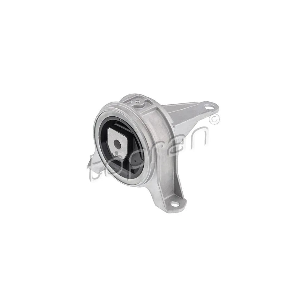 Set Motor Topran pentru Opel Astra/Zafira Zafira - 208 391