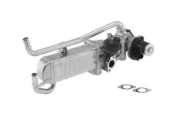 Modul-egr BW, Audi, SEAT, Skoda, 565x248x198 mm, Borgwarner 710862D