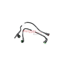 Alte Fulii SASIC - 2150023