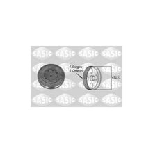 Alte Fulii SASIC - 2154015
