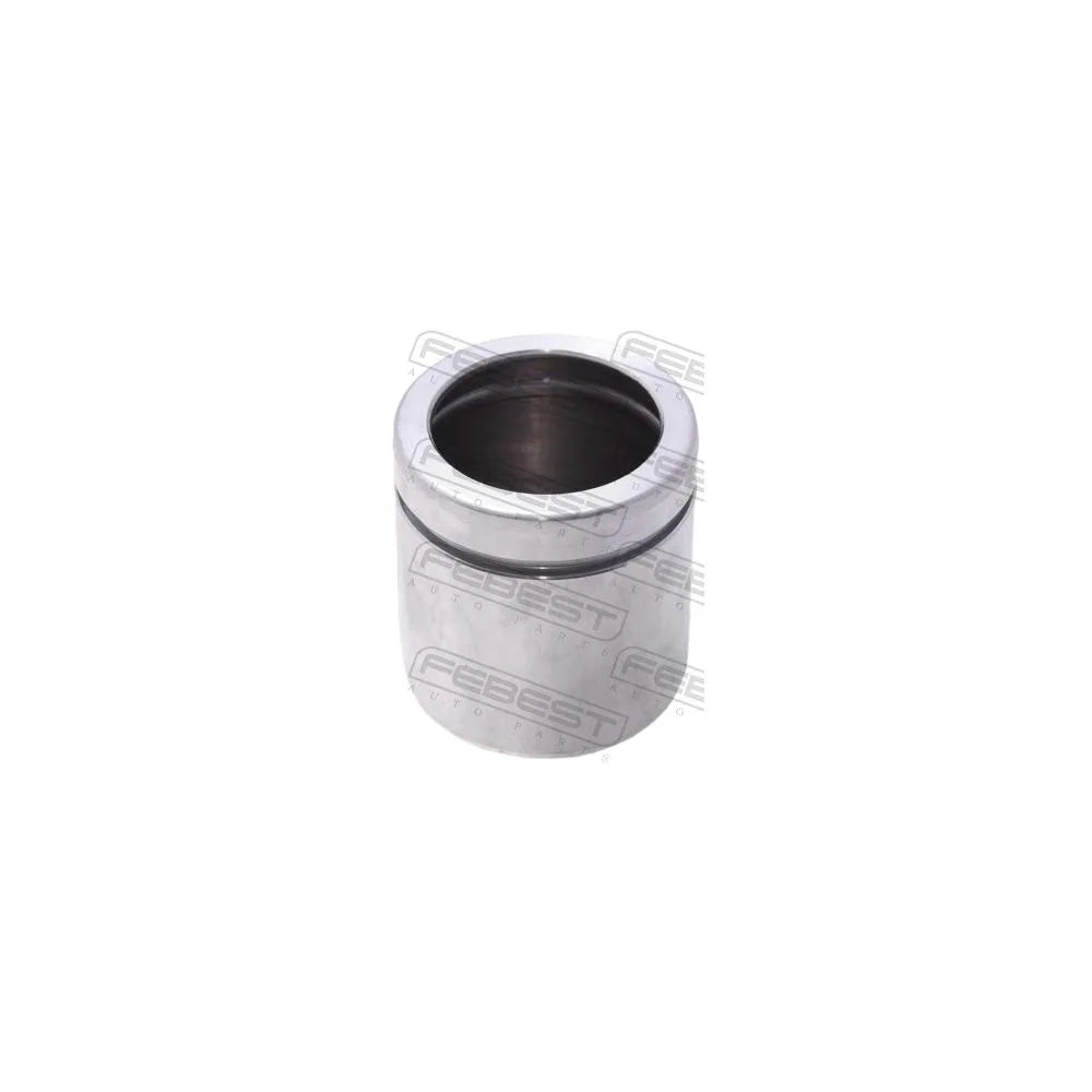 Pistonas Frana Febest - 2176-TC7F