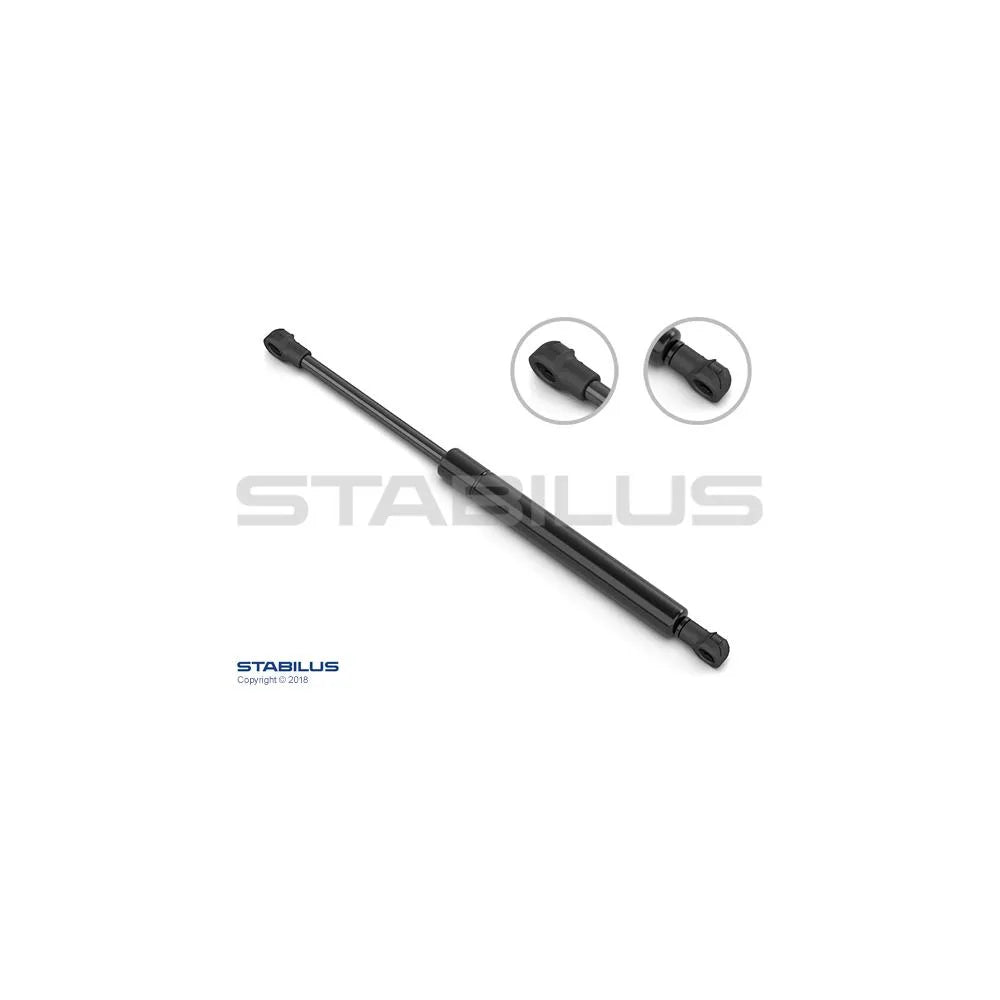 Amortizoare Stabilus pentru Renault Scenic - 2293NL