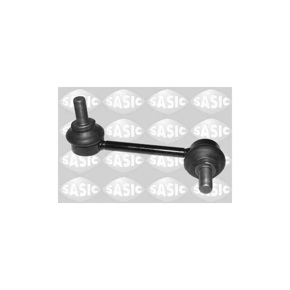 Biela Sasic - 2306287
