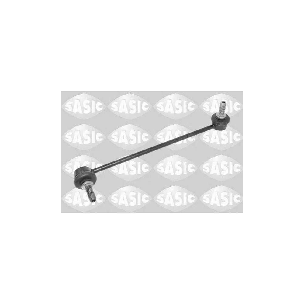 Biela Sasic - 2306294