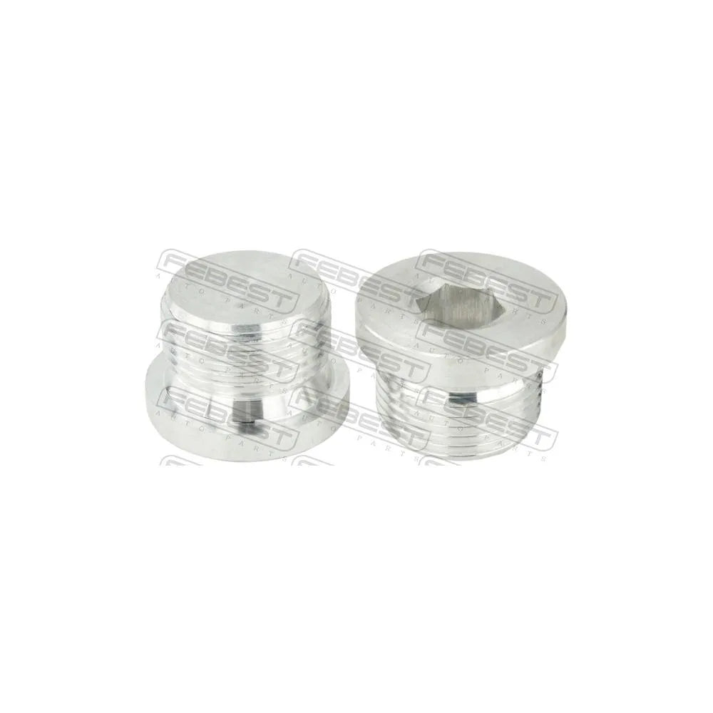 Baie Ulei Febest - 2399-002-PCS2