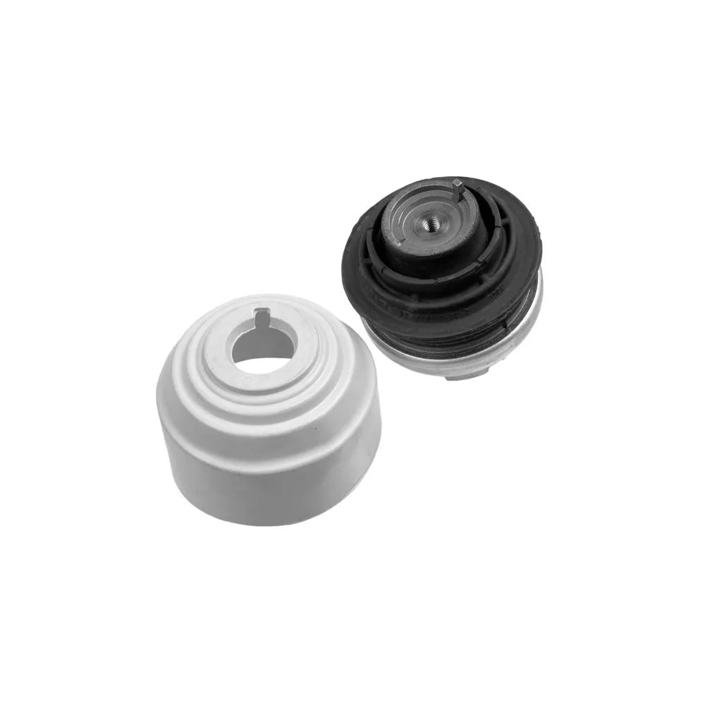 Set Motor Lemforder - 2540701