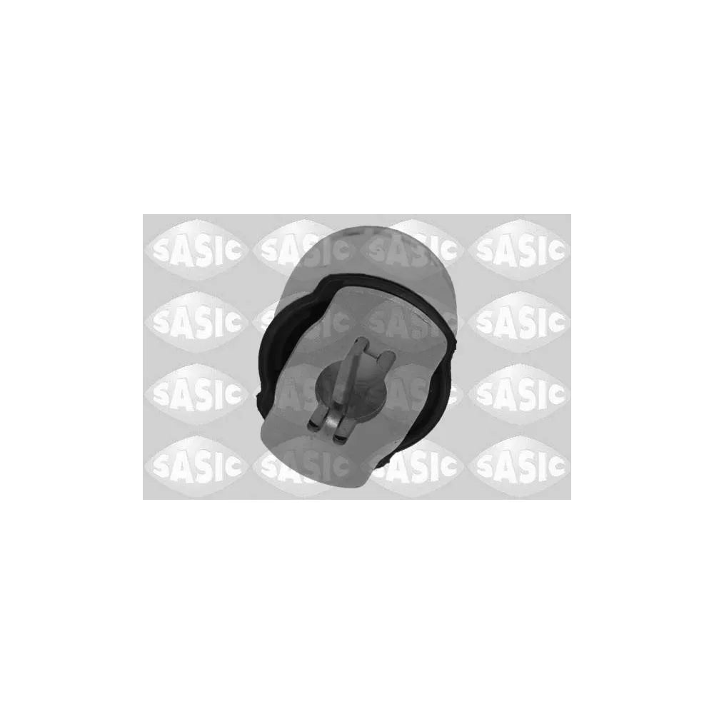 Bucse Sasic - 2606045