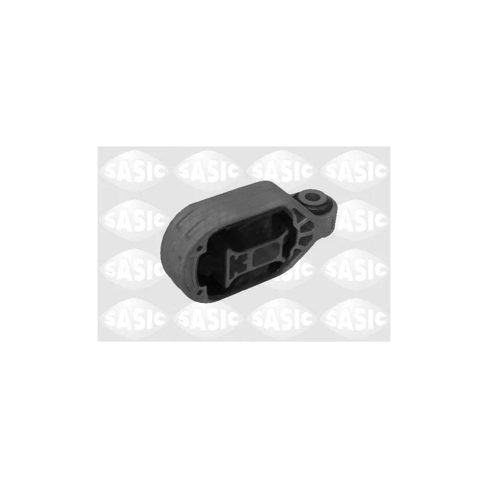 Set Motor Sasic - 2704025