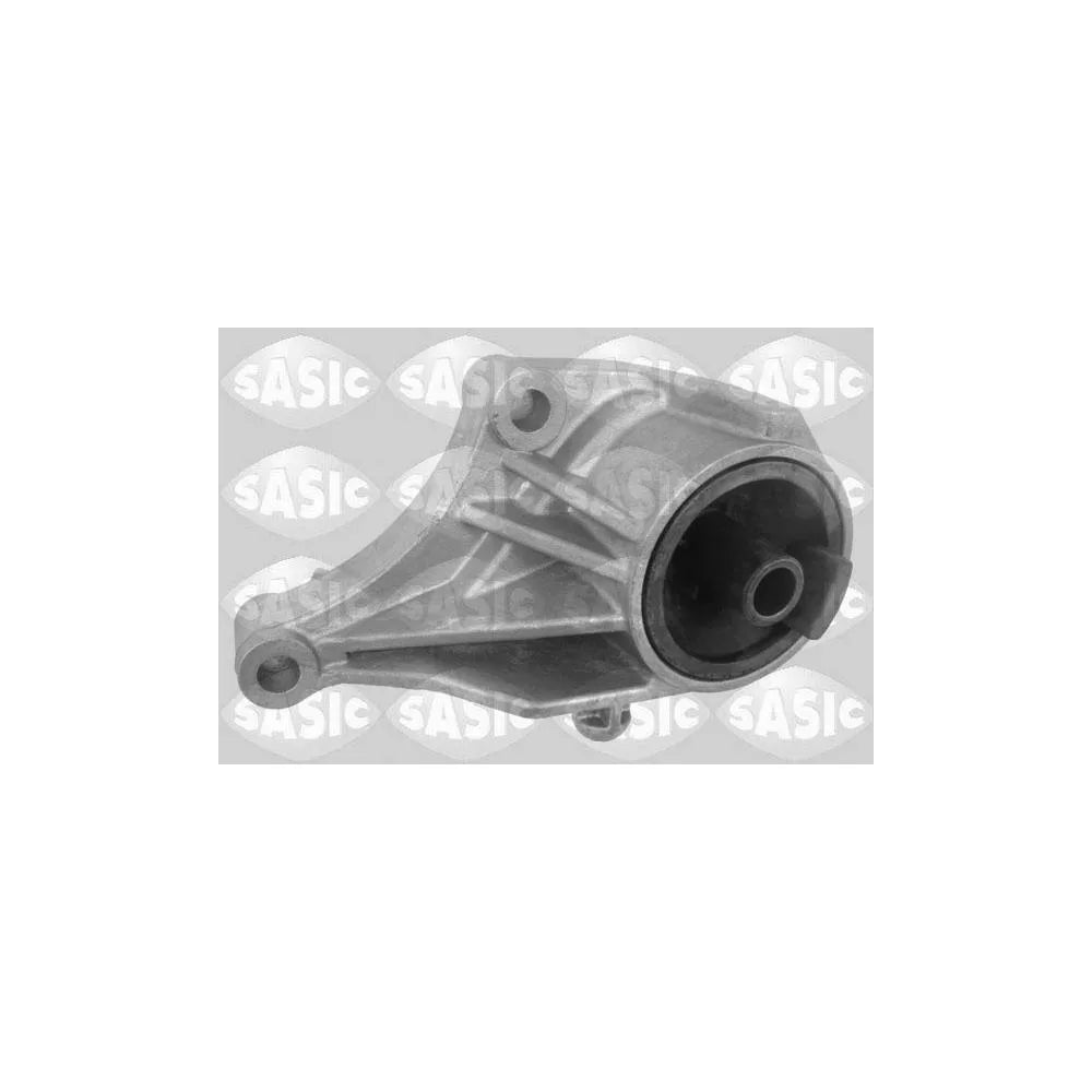 Set Motor Sasic - 2706077