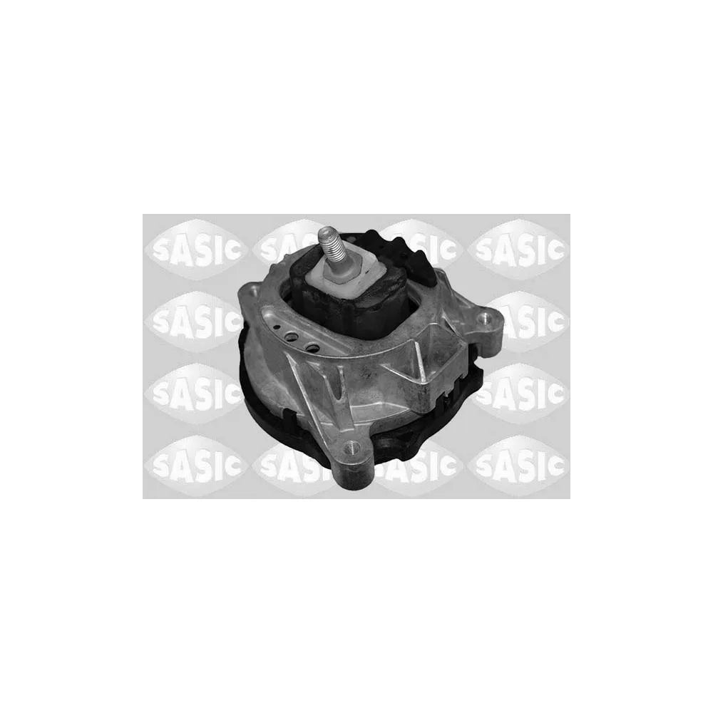 Set Motor Sasic - 2706320