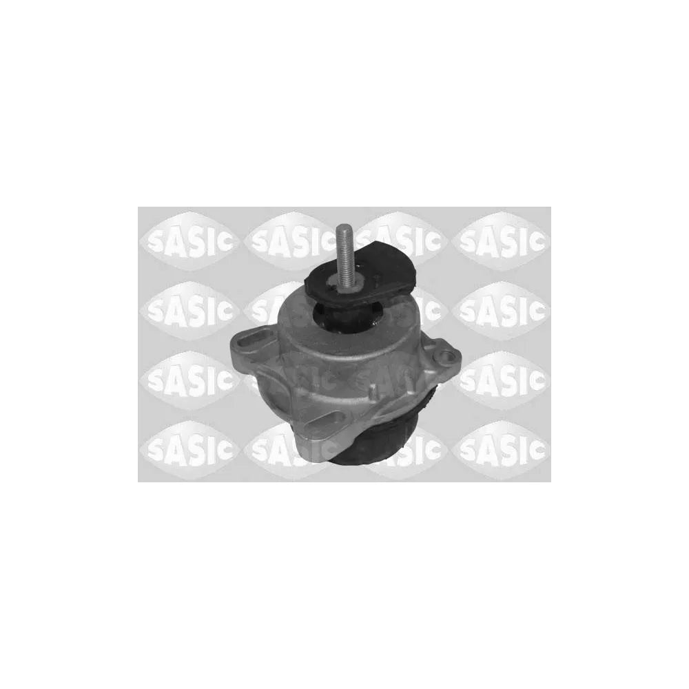 Set Motor Sasic - 2706588